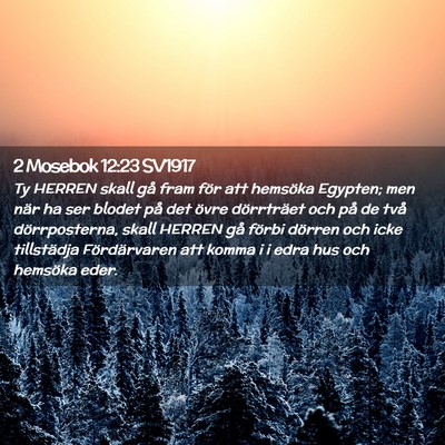 Picture 02 - 2 Mosebok 12:23 SV1917 - Ty HERREN skall gå fram för att hemsöka - Bible Verse Picture