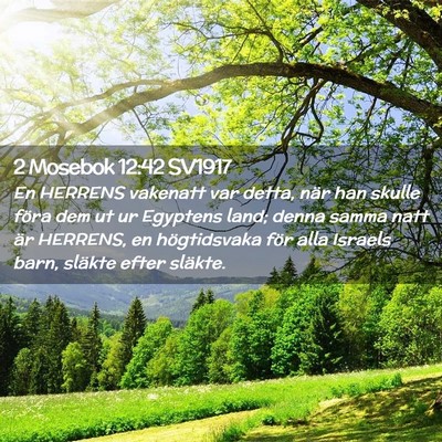 Picture 02 - 2 Mosebok 12:42 SV1917 - En HERRENS vakenatt var detta, när han skulle - Bible Verse Picture