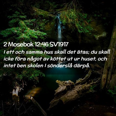 Picture 02 - 2 Mosebok 12:46 SV1917 - I ett och samma hus skall det ätas; du skall - Bible Verse Picture