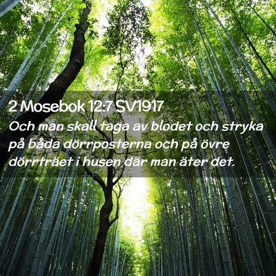Picture 02 - 2 Mosebok 12:7 SV1917 - Och man skall taga av blodet och stryka på båda - Bible Verse Picture