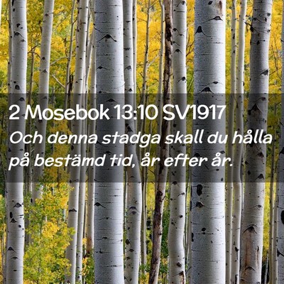 Picture 02 - 2 Mosebok 13:10 SV1917 - Och denna stadga skall du hålla på bestämd - Bible Verse Picture