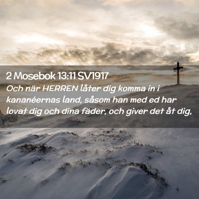 Picture 02 - 2 Mosebok 13:11 SV1917 - Och när HERREN låter dig komma in i - Bible Verse Picture