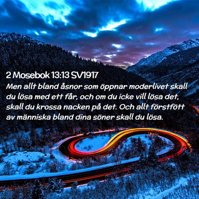 Picture 02 - 2 Mosebok 13:13 SV1917 - Men allt bland åsnor som öppnar moderlivet - Bible Verse Picture