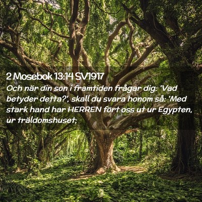 Picture 02 - 2 Mosebok 13:14 SV1917 - Och när din son i framtiden frågar dig: 'Vad - Bible Verse Picture