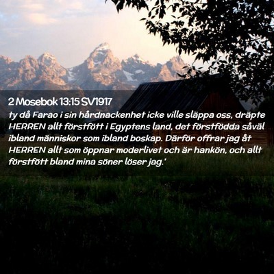 Picture 02 - 2 Mosebok 13:15 SV1917 - ty då Farao i sin hårdnackenhet icke ville - Bible Verse Picture