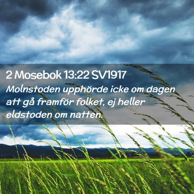 Picture 02 - 2 Mosebok 13:22 SV1917 - Molnstoden upphörde icke om dagen att gå - Bible Verse Picture