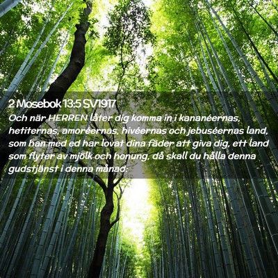 Picture 02 - 2 Mosebok 13:5 SV1917 - Och när HERREN låter dig komma in i - Bible Verse Picture