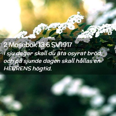 Picture 02 - 2 Mosebok 13:6 SV1917 - I sju dagar skall du äta osyrat bröd, och på - Bible Verse Picture