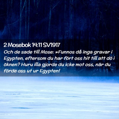 Picture 02 - 2 Mosebok 14:11 SV1917 - Och de sade till Mose: »Funnos då inga gravar i - Bible Verse Picture