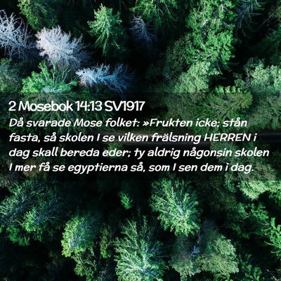 Picture 02 - 2 Mosebok 14:13 SV1917 - Då svarade Mose folket: »Frukten icke; stån - Bible Verse Picture