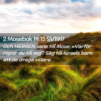 Picture 02 - 2 Mosebok 14:15 SV1917 - Och HERREN sade till Mose: »Varför ropar du - Bible Verse Picture