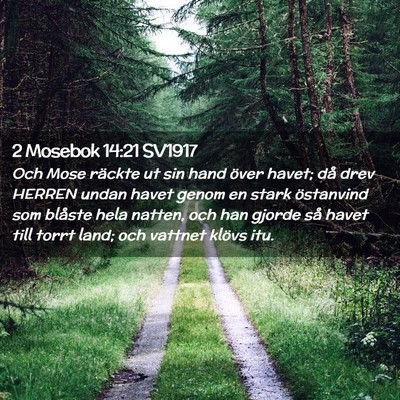 Picture 02 - 2 Mosebok 14:21 SV1917 - Och Mose räckte ut sin hand över havet; då - Bible Verse Picture