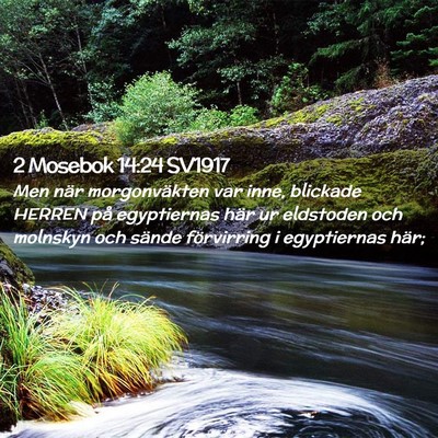 Picture 02 - 2 Mosebok 14:24 SV1917 - Men när morgonväkten var inne, blickade HERREN - Bible Verse Picture