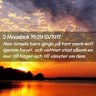 Picture 02 - 2 Mosebok 14:29 SV1917 - Men Israels barn gingo på torr mark mitt igenom - Bible Verse Picture