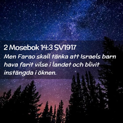 Picture 02 - 2 Mosebok 14:3 SV1917 - Men Farao skall tänka att Israels barn hava - Bible Verse Picture
