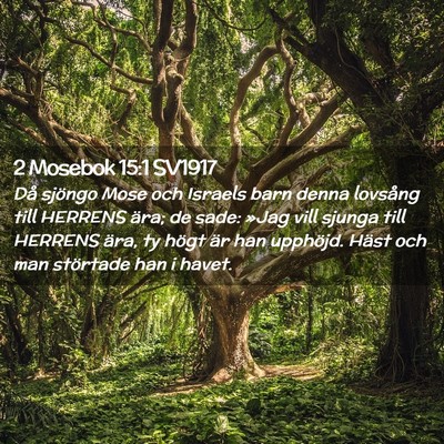 Picture 02 - 2 Mosebok 15:1 SV1917 - Då sjöngo Mose och Israels barn denna lovsång - Bible Verse Picture