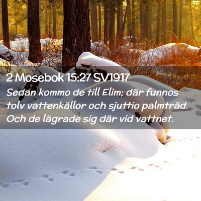 Picture 02 - 2 Mosebok 15:27 SV1917 - Sedan kommo de till Elim; där funnos tolv - Bible Verse Picture