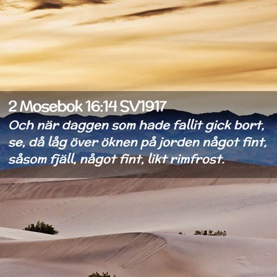 Picture 02 - 2 Mosebok 16:14 SV1917 - Och när daggen som hade fallit gick bort, se, - Bible Verse Picture