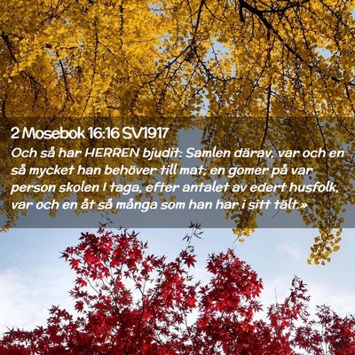 Picture 02 - 2 Mosebok 16:16 SV1917 - Och så har HERREN bjudit: Samlen därav, var och - Bible Verse Picture