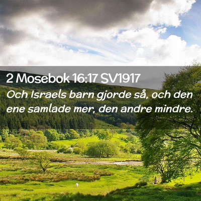 Picture 02 - 2 Mosebok 16:17 SV1917 - Och Israels barn gjorde så, och den ene samlade - Bible Verse Picture
