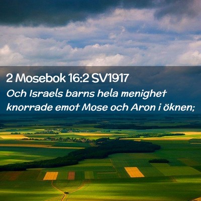 Picture 02 - 2 Mosebok 16:2 SV1917 - Och Israels barns hela menighet knorrade emot - Bible Verse Picture