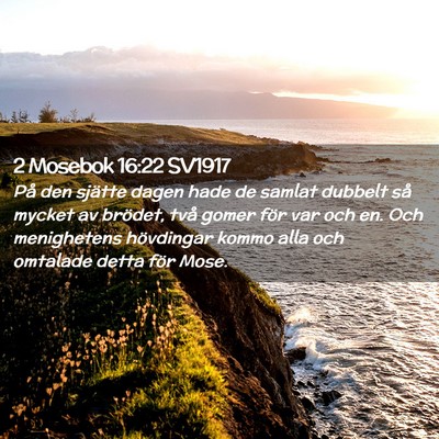Picture 02 - 2 Mosebok 16:22 SV1917 - På den sjätte dagen hade de samlat dubbelt så - Bible Verse Picture