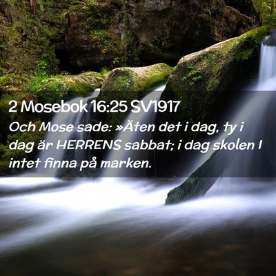 Picture 02 - 2 Mosebok 16:25 SV1917 - Och Mose sade: »Äten det i dag, ty i dag är - Bible Verse Picture