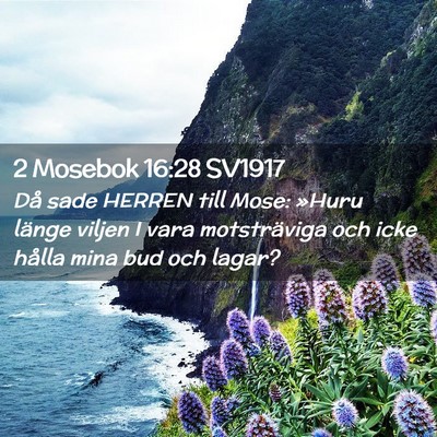 Picture 02 - 2 Mosebok 16:28 SV1917 - Då sade HERREN till Mose: »Huru länge viljen I - Bible Verse Picture