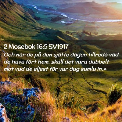 Picture 02 - 2 Mosebok 16:5 SV1917 - Och när de på den sjätte dagen tillreda vad de - Bible Verse Picture