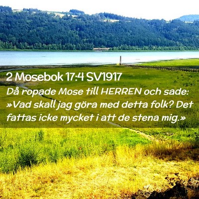 Picture 02 - 2 Mosebok 17:4 SV1917 - Då ropade Mose till HERREN och sade: »Vad skall - Bible Verse Picture