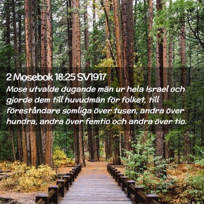 Picture 02 - 2 Mosebok 18:25 SV1917 - Mose utvalde dugande män ur hela Israel och - Bible Verse Picture