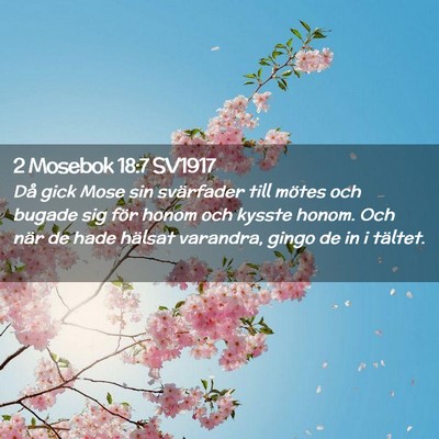 Picture 02 - 2 Mosebok 18:7 SV1917 - Då gick Mose sin svärfader till mötes och - Bible Verse Picture