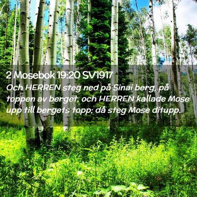 Picture 02 - 2 Mosebok 19:20 SV1917 - Och HERREN steg ned på Sinai berg, på toppen av - Bible Verse Picture