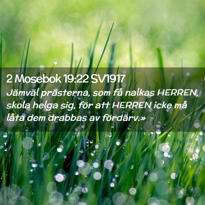 Picture 02 - 2 Mosebok 19:22 SV1917 - Jämväl prästerna, som få nalkas HERREN, skola - Bible Verse Picture