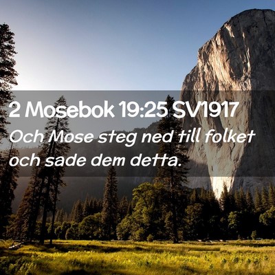 Picture 02 - 2 Mosebok 19:25 SV1917 - Och Mose steg ned till folket och sade dem - Bible Verse Picture