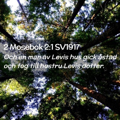 Picture 02 - 2 Mosebok 2:1 SV1917 - Och en man av Levis hus gick åstad och tog till - Bible Verse Picture