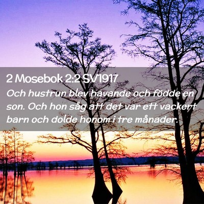 Picture 02 - 2 Mosebok 2:2 SV1917 - Och hustrun blev havande och födde en son. Och - Bible Verse Picture