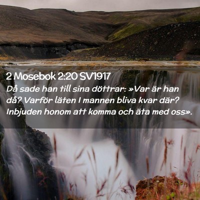 Picture 02 - 2 Mosebok 2:20 SV1917 - Då sade han till sina döttrar: »Var är han - Bible Verse Picture