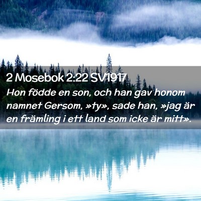 Picture 02 - 2 Mosebok 2:22 SV1917 - Hon födde en son, och han gav honom namnet - Bible Verse Picture