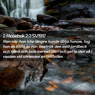 Picture 02 - 2 Mosebok 2:3 SV1917 - Men när hon icke längre kunde dölja honom, tog - Bible Verse Picture
