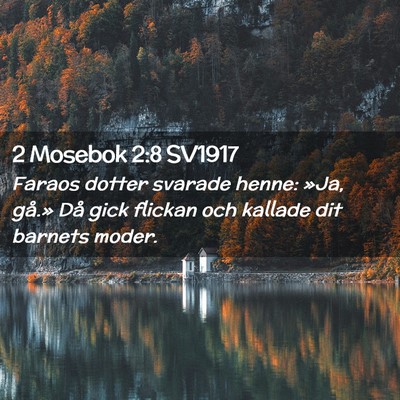 Picture 02 - 2 Mosebok 2:8 SV1917 - Faraos dotter svarade henne: »Ja, gå.» Då - Bible Verse Picture