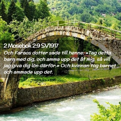 Picture 02 - 2 Mosebok 2:9 SV1917 - Och Faraos dotter sade till henne: »Tag detta - Bible Verse Picture