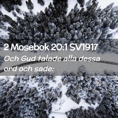 Picture 02 - 2 Mosebok 20:1 SV1917 - Och Gud talade alla dessa ord och - Bible Verse Picture