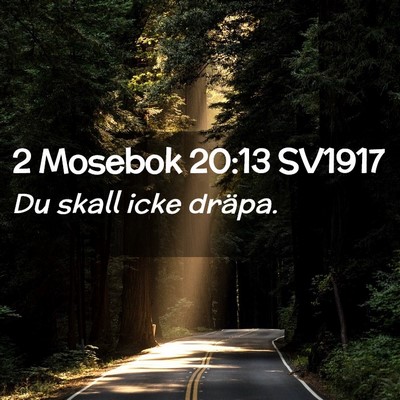 Picture 02 - 2 Mosebok 20:13 SV1917 - Du skall icke - Bible Verse Picture