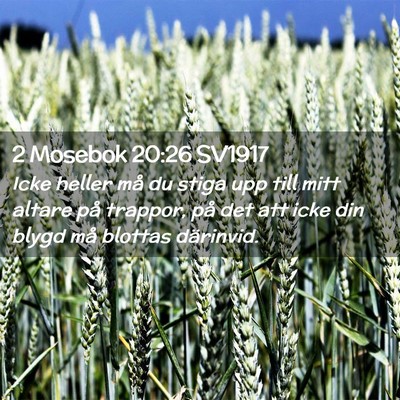 Picture 02 - 2 Mosebok 20:26 SV1917 - Icke heller må du stiga upp till mitt altare på - Bible Verse Picture