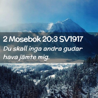 Picture 02 - 2 Mosebok 20:3 SV1917 - Du skall inga andra gudar hava jämte - Bible Verse Picture
