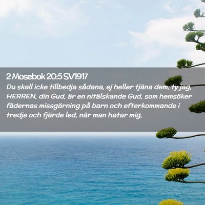 Picture 02 - 2 Mosebok 20:5 SV1917 - Du skall icke tillbedja sådana, ej heller tjäna - Bible Verse Picture