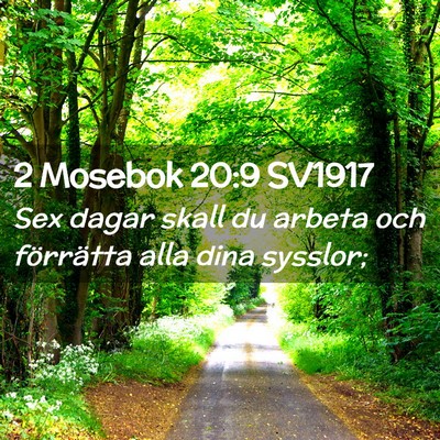 Picture 02 - 2 Mosebok 20:9 SV1917 - Sex dagar skall du arbeta och förrätta alla - Bible Verse Picture