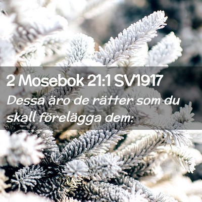 Picture 02 - 2 Mosebok 21:1 SV1917 - Dessa äro de rätter som du skall förelägga - Bible Verse Picture