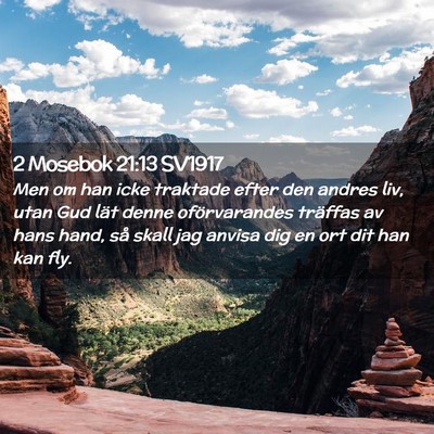 Picture 02 - 2 Mosebok 21:13 SV1917 - Men om han icke traktade efter den andres liv, - Bible Verse Picture